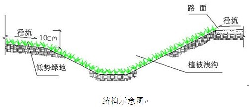 植被浅沟