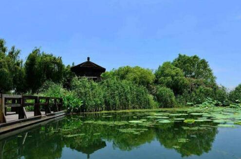 北京绿化公司