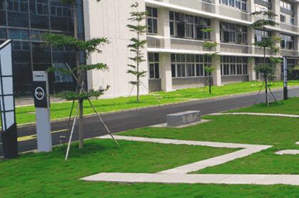 绿化苗木移植过程中,土球散了怎么办? 别急,园林公司有办法