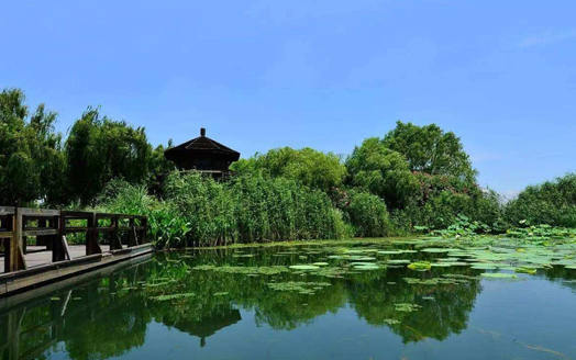 园林改造植物造景