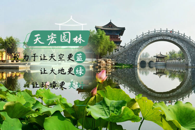北京天宏园林绿化养护有限公司