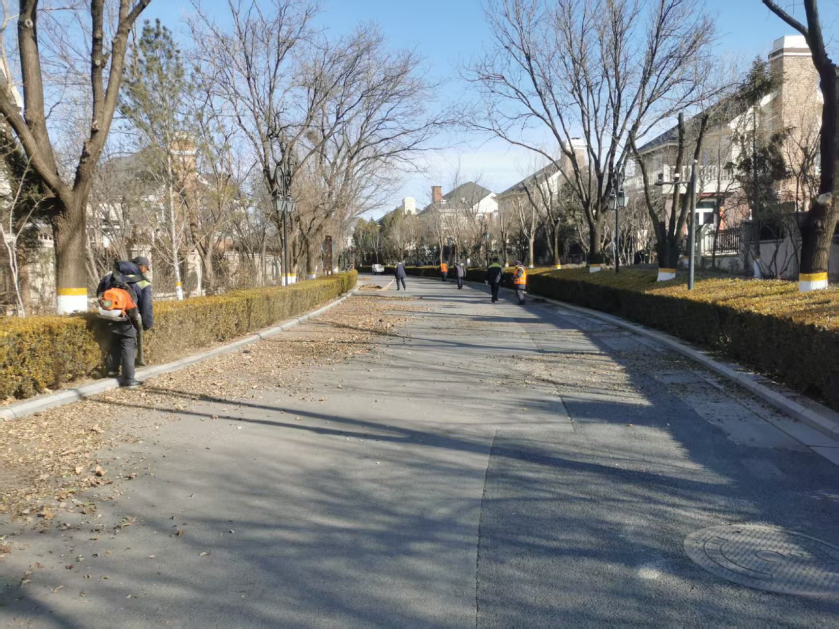 北京春季园林绿化养护指南之春季清园